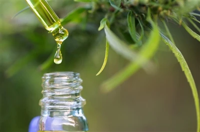 CBD vs. THC: Tot el que necessiteu saber