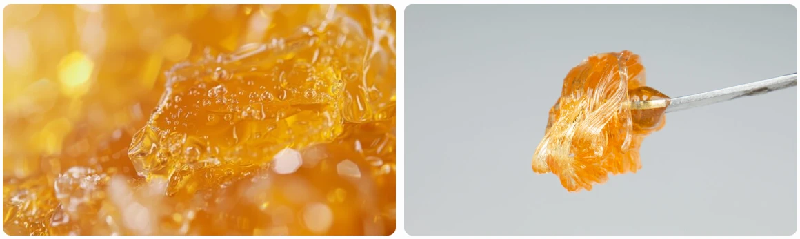 What Makes Live Rosin So Temperature-Sensitive?